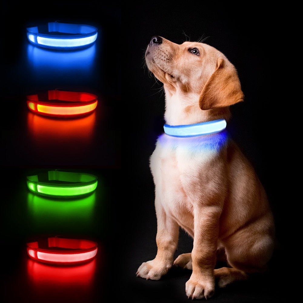 MASBRILL Luminous Dog Collar