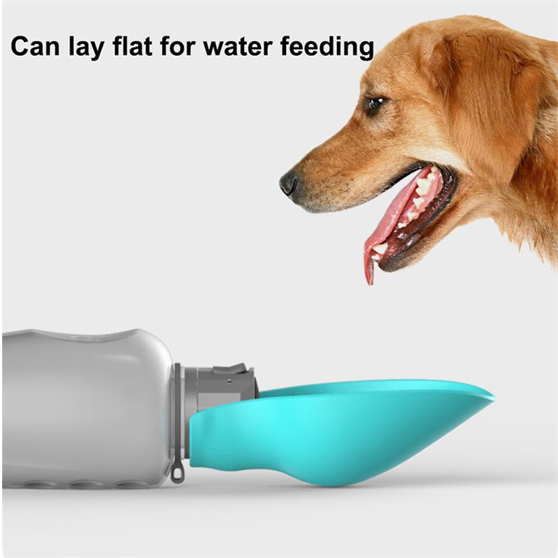 Trail Dog Water Bottle